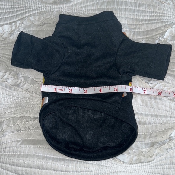 Halloween Outfit for Small Dog - Picture 4 of 4